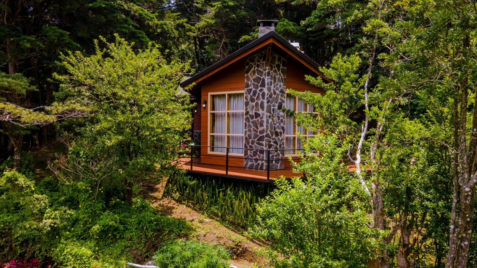 Los Pinos Cabins & Reserve Monteverde 외부 사진