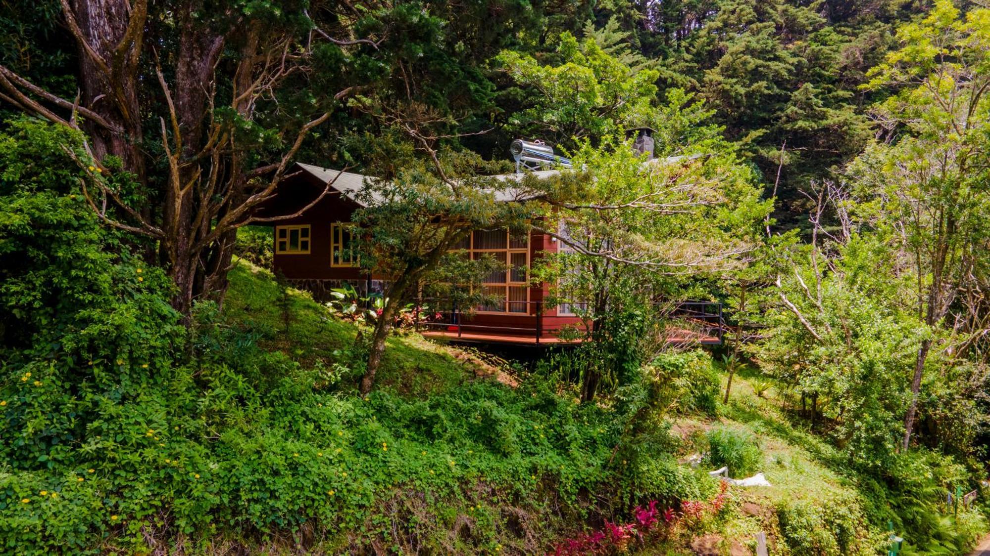 Los Pinos Cabins & Reserve Monteverde 외부 사진