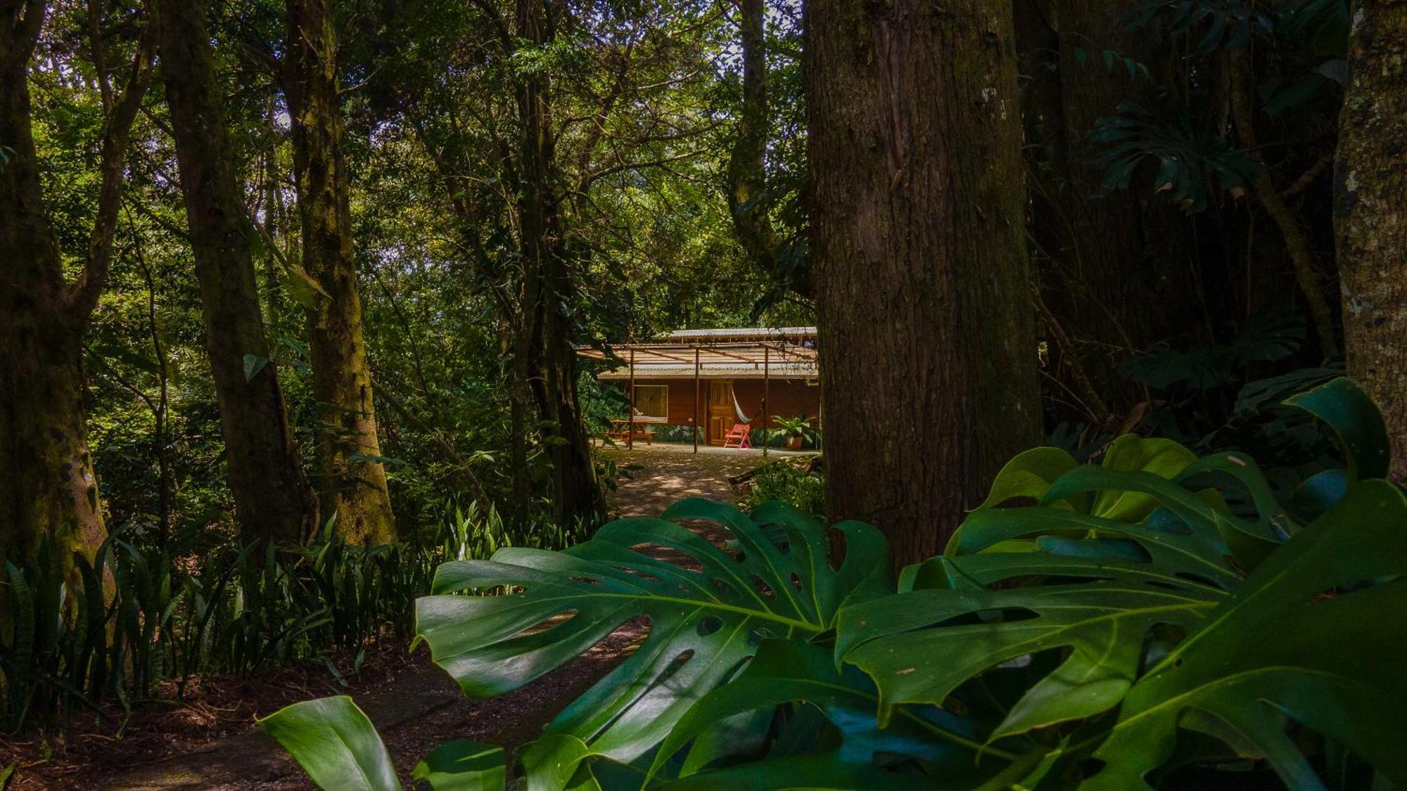 Los Pinos Cabins & Reserve Monteverde 외부 사진