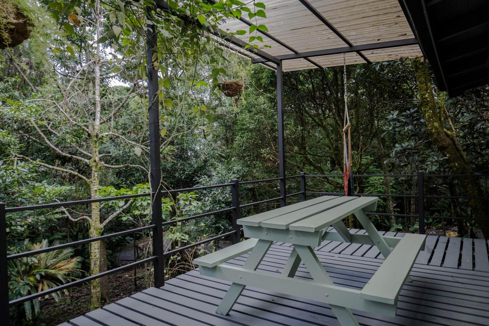 Los Pinos Cabins & Reserve Monteverde 객실 사진